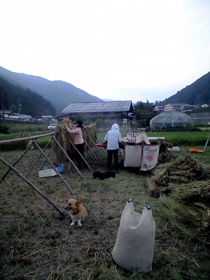 f0135908_6595328.jpg