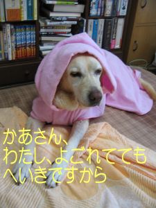 b0008217_0434040.jpg