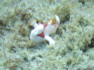 f0142717_23111726.jpg