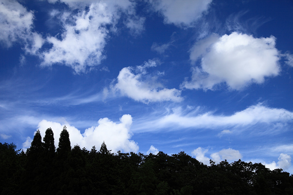 d0148125_22513226.jpg