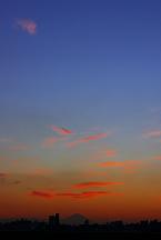 c0051529_1925739.jpg