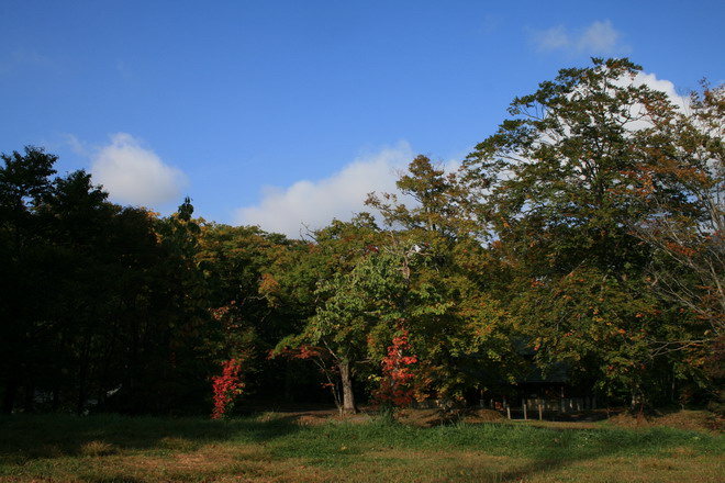 c0035931_22141672.jpg
