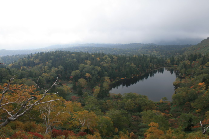 c0035931_22373479.jpg