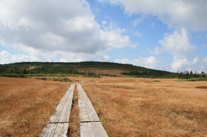 c0035931_22435734.jpg