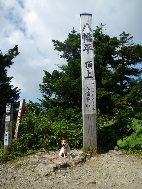 c0035931_22481245.jpg