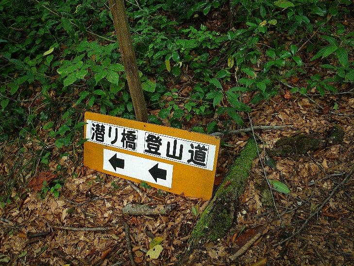 f0118332_22331265.jpg