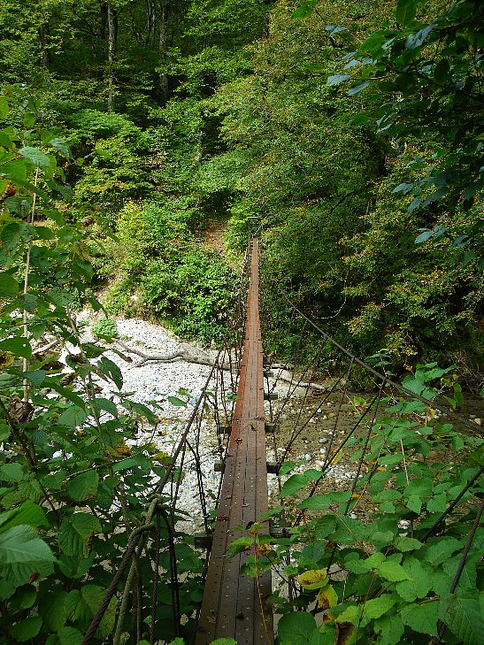 f0118332_223350100.jpg