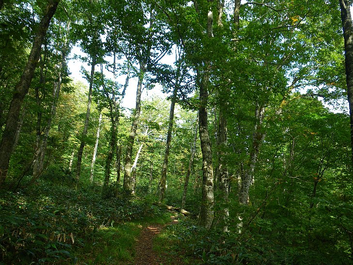 f0118332_2236746.jpg