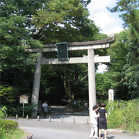 d0033734_1654122.jpg