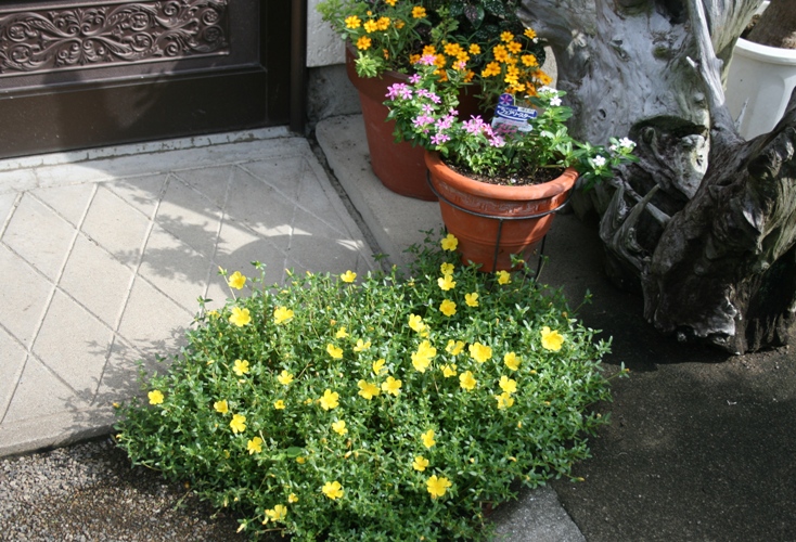 f0042737_1123386.jpg