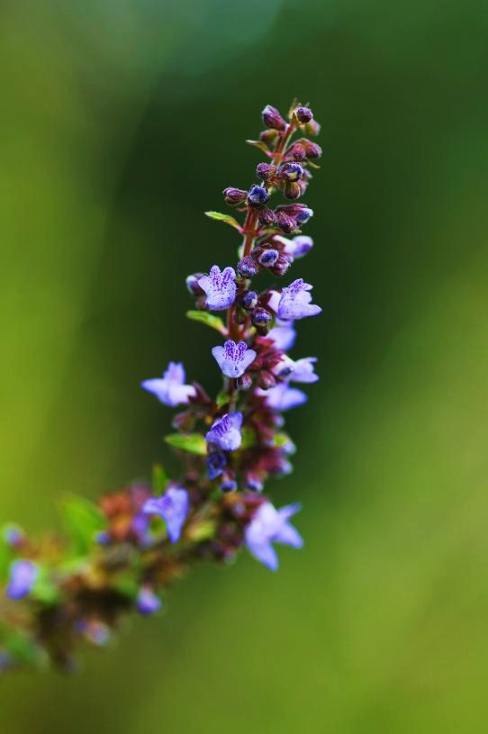 e0095142_21225591.jpg