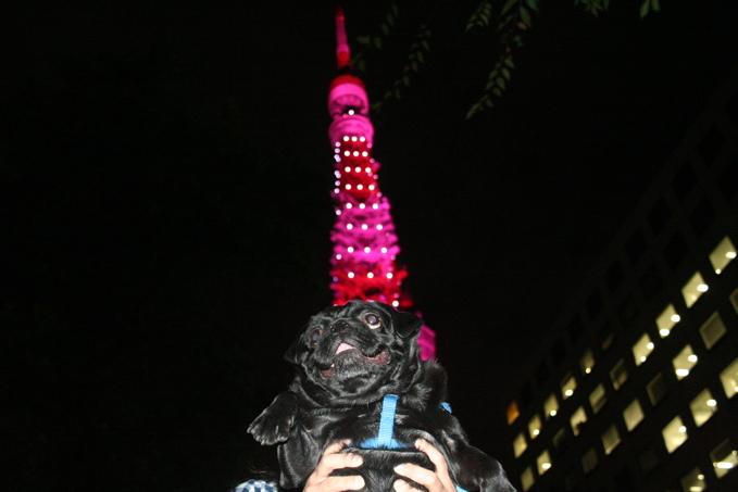a0051443_21514927.jpg