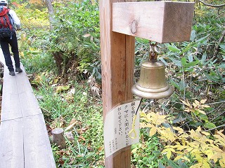 d0031853_1162987.jpg