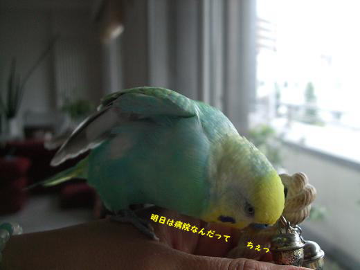 f0149057_11212452.jpg