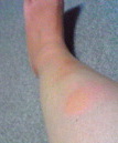 e0005658_2255457.jpg