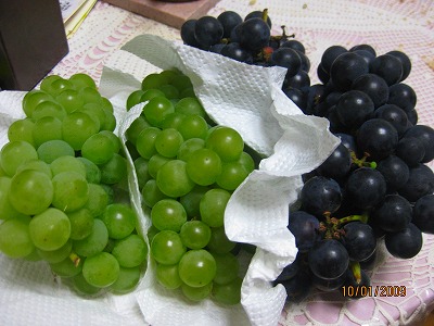 f0098562_1035352.jpg