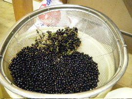b0079965_6595461.jpg