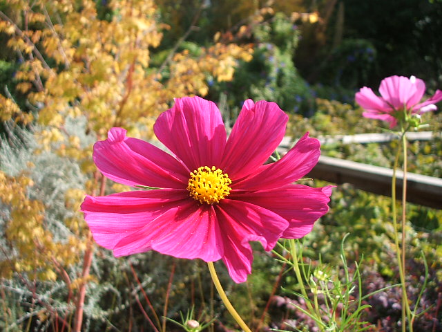 c0115366_1275238.jpg