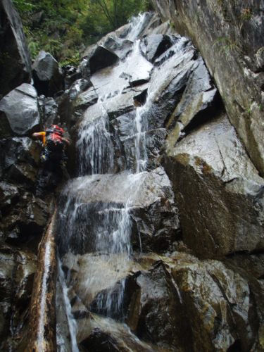 b0050067_23275436.jpg
