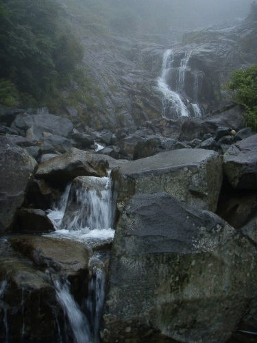 b0050067_244513.jpg