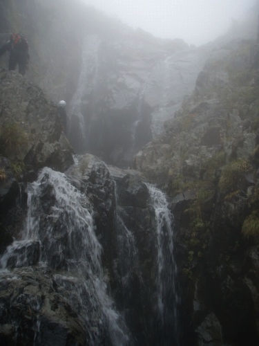 b0050067_25268.jpg