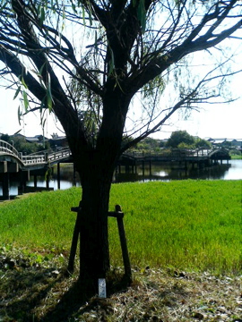 f0054677_9135171.jpg