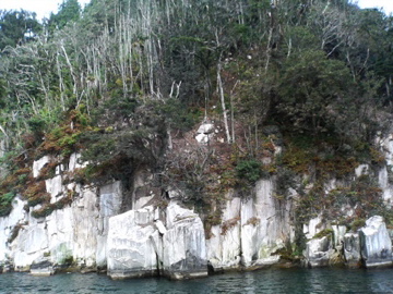 f0054677_916359.jpg