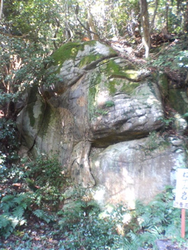 f0054677_9182063.jpg