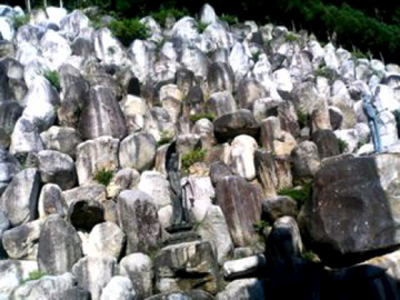 f0054677_919381.jpg