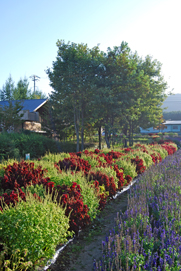a0062983_16441494.jpg