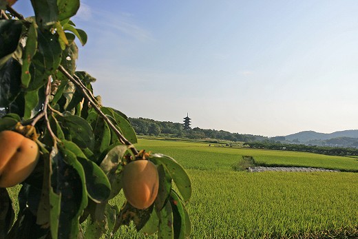 e0190885_20203851.jpg