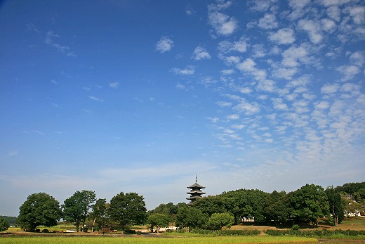 e0190885_20231787.jpg