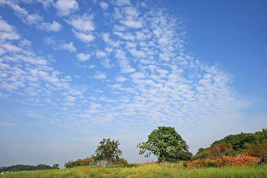 e0190885_2023292.jpg