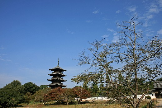 e0190885_20232951.jpg