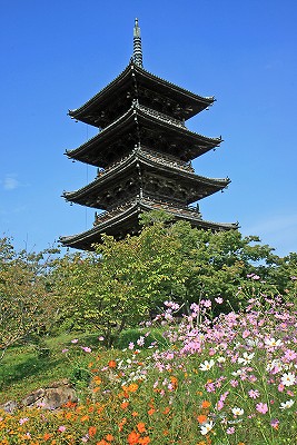 e0190885_20233820.jpg