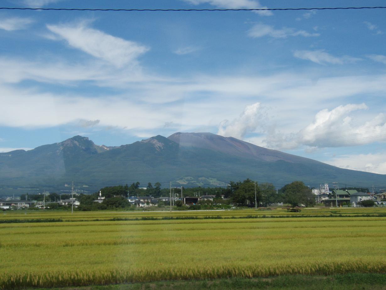 f0005785_2352247.jpg