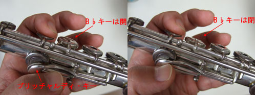 c0039487_21123234.jpg