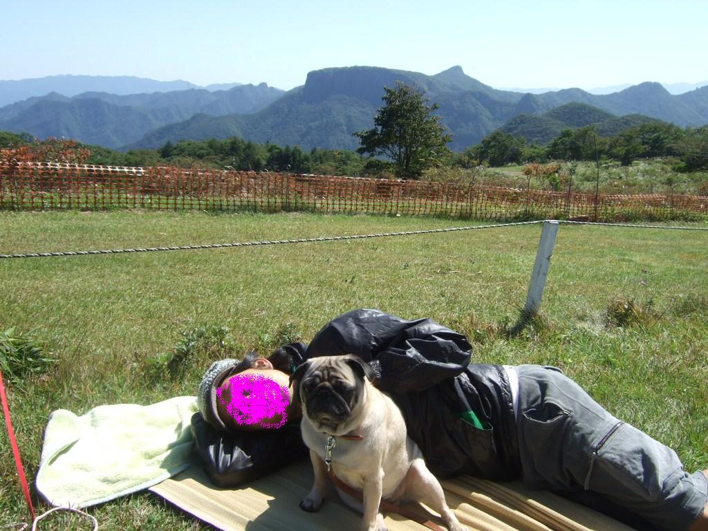 f0063791_1313445.jpg