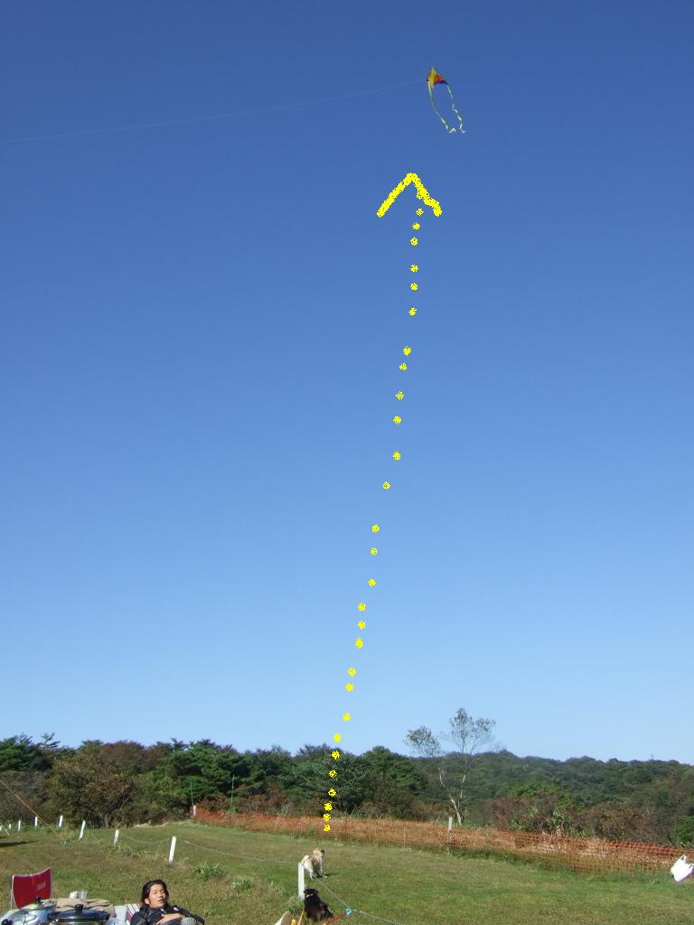 f0063791_13361886.jpg