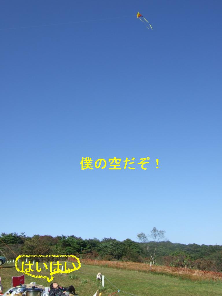 f0063791_1340127.jpg