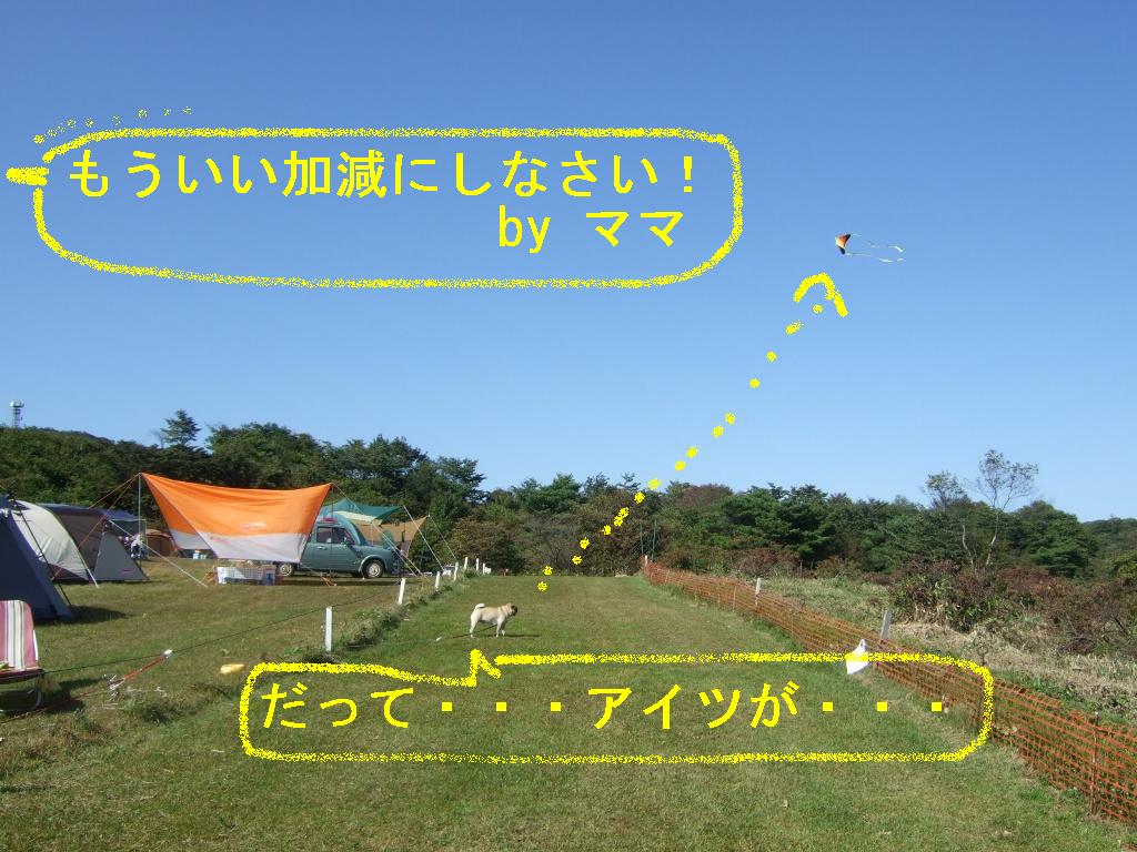f0063791_13474554.jpg