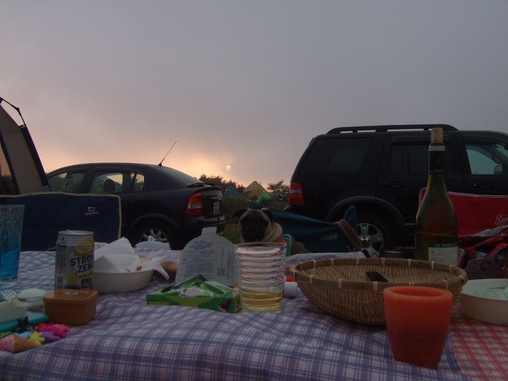 f0063791_13562410.jpg