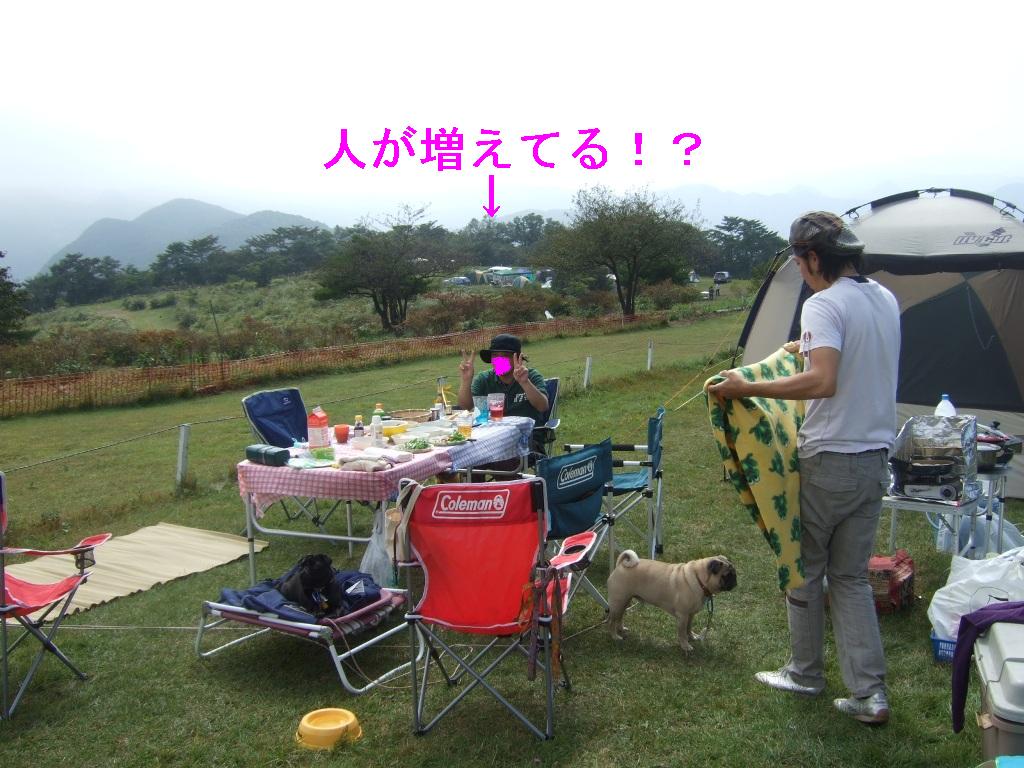 f0063791_14231196.jpg