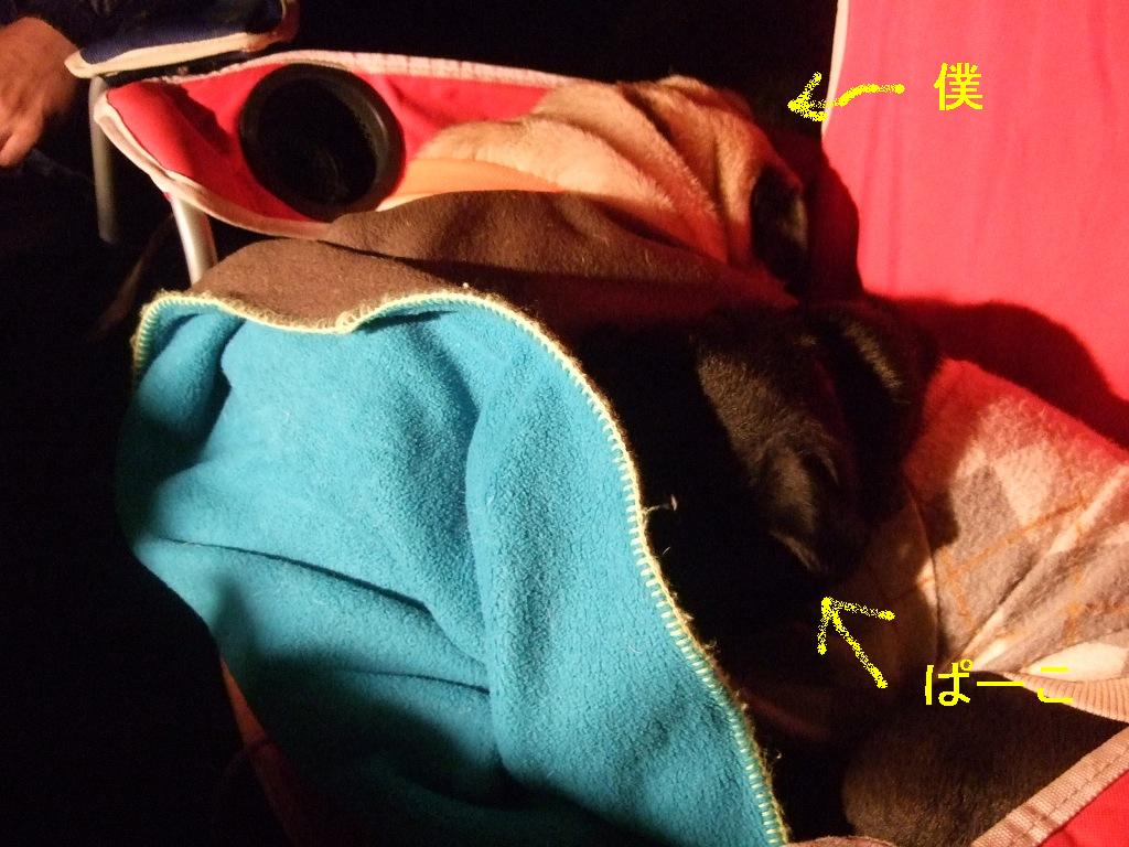 f0063791_1439674.jpg