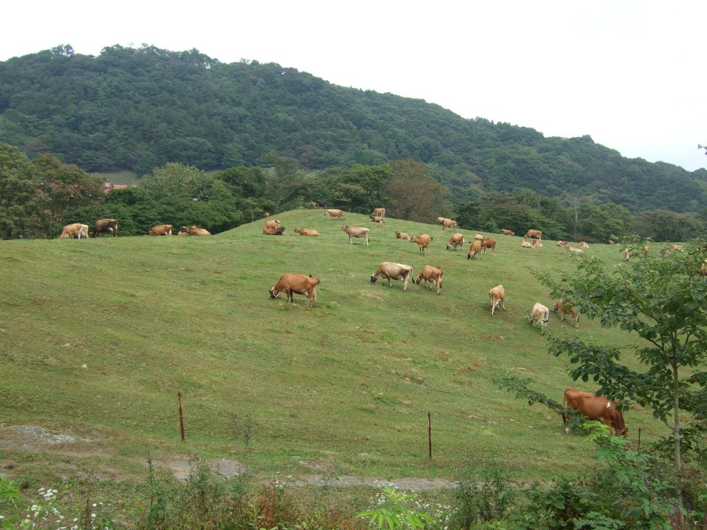 f0063791_1447988.jpg