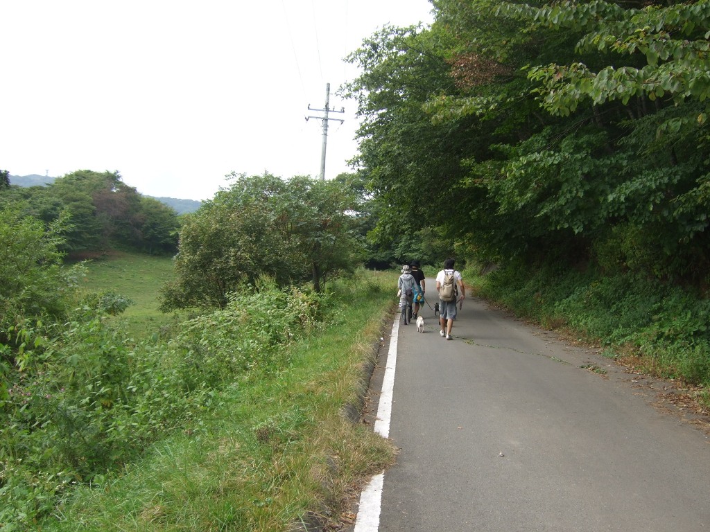 f0063791_14512579.jpg