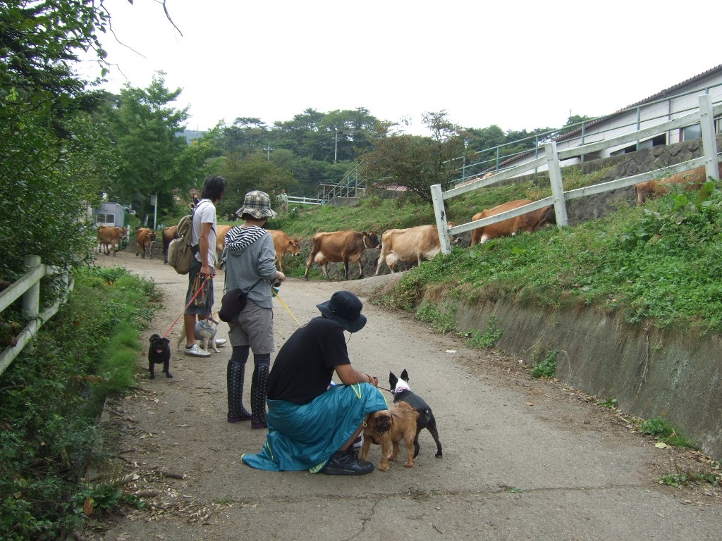 f0063791_14522597.jpg