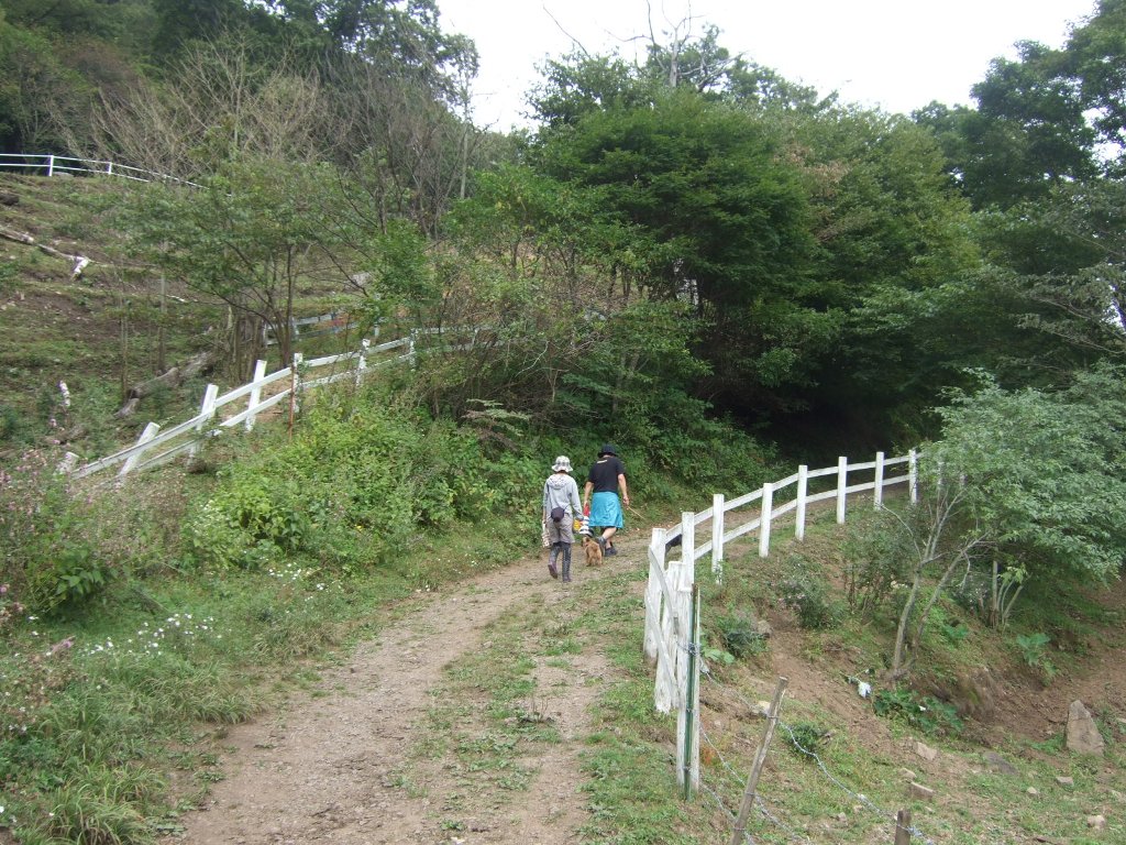 f0063791_14542754.jpg
