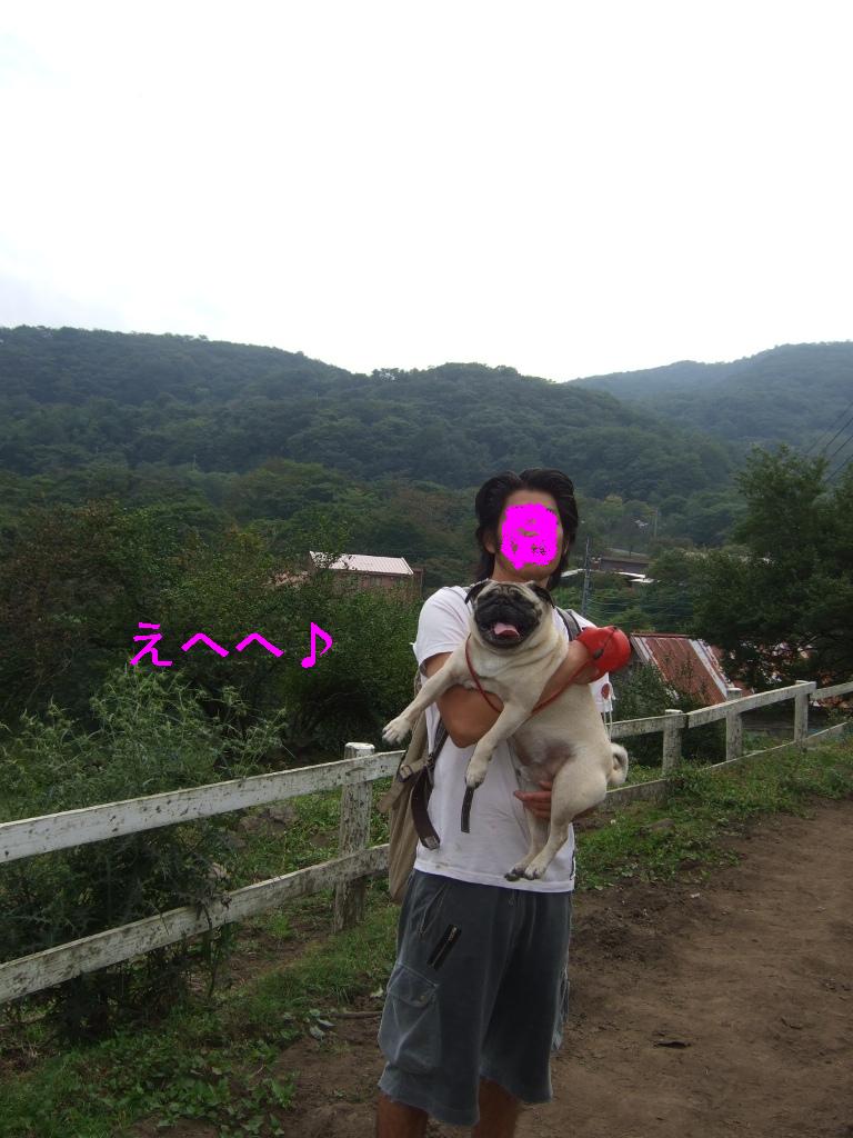 f0063791_1454528.jpg