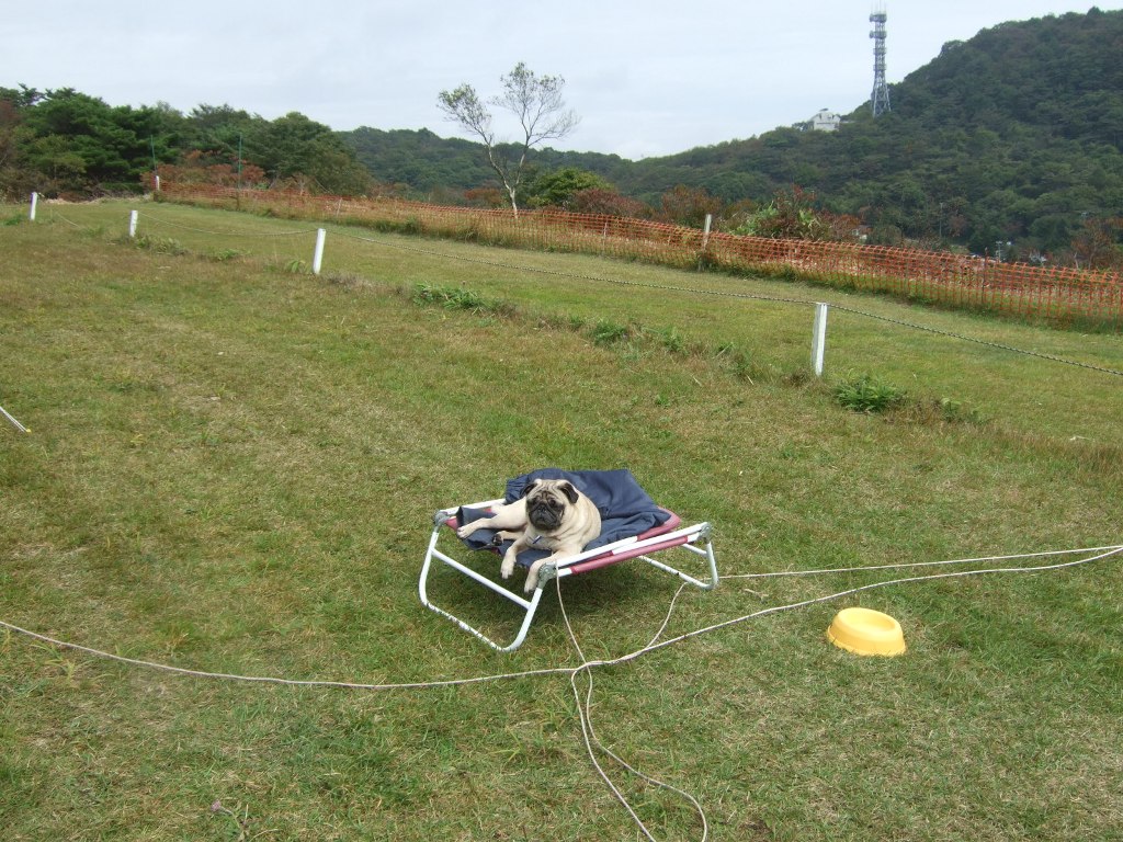 f0063791_14572010.jpg